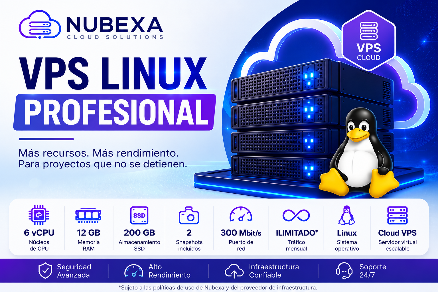 Nubexa VPS Linux Professional con 6 vCPU, 12 GB RAM y 200 GB SSD