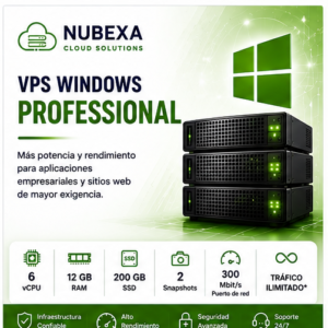 VPS Windows Professional de Nubexa con 6 vCPU, 12 GB de RAM y 200 GB SSD.